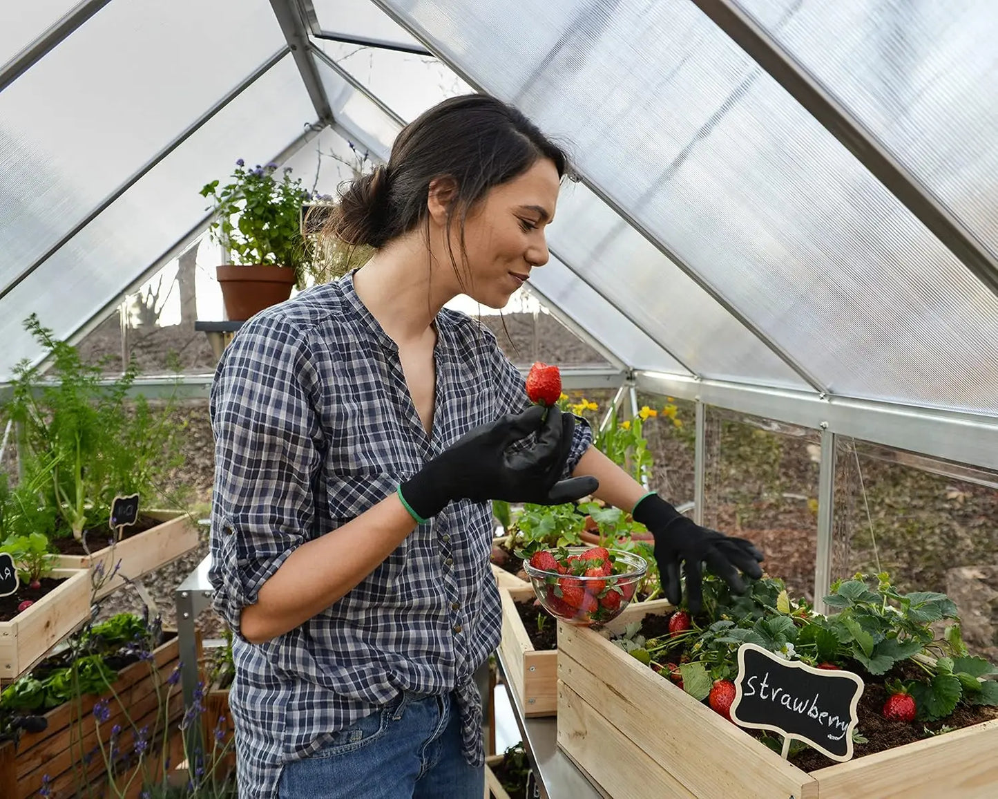 6' X 8' Greenhouse Silver with Plant Hangers