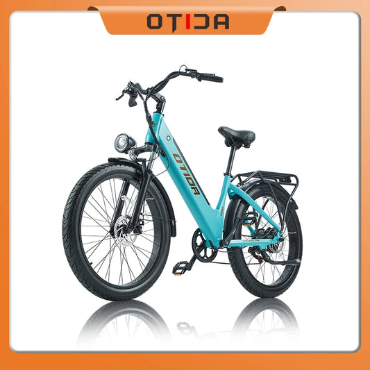 1000W Adults Electric Bicycle