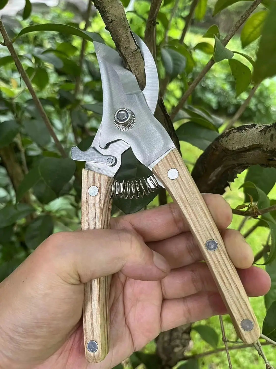 Bypass Pruning Shears