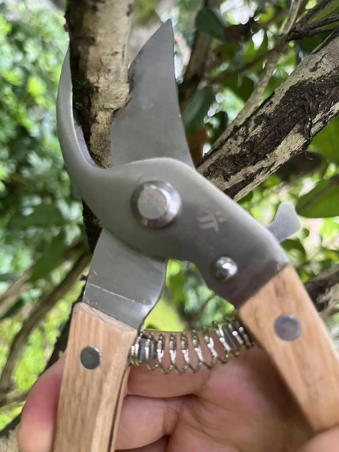 Bypass Pruning Shears