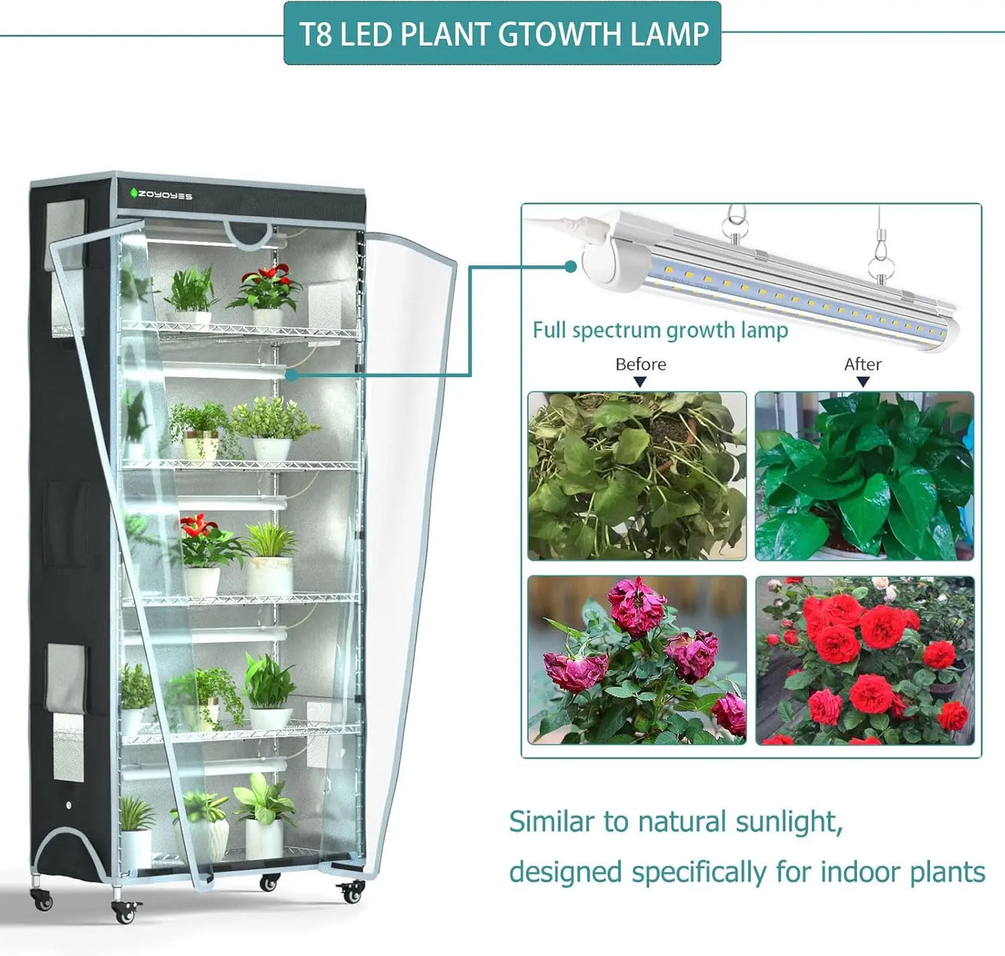 Plant Greenhouse, 6-Tiered Heavy Duty Metal Growth Shelf