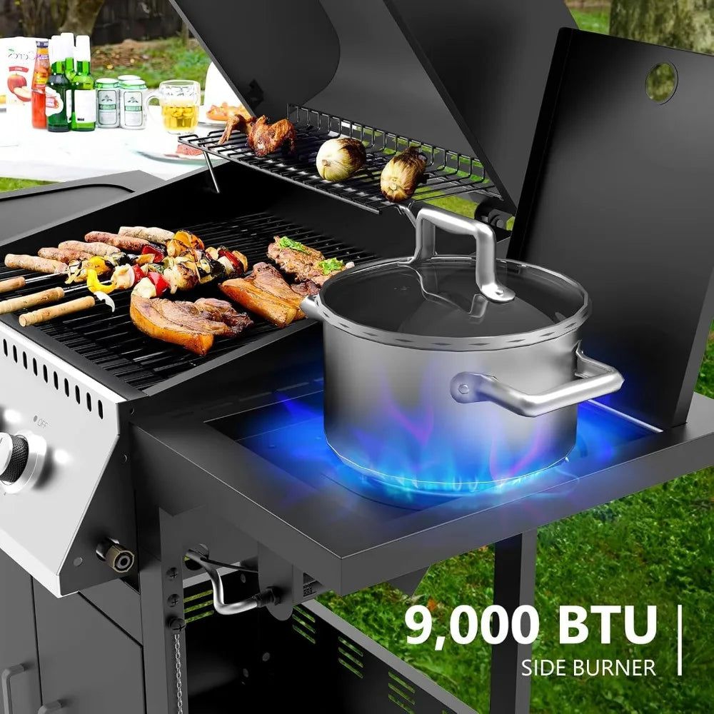 BBQ Gas Grill