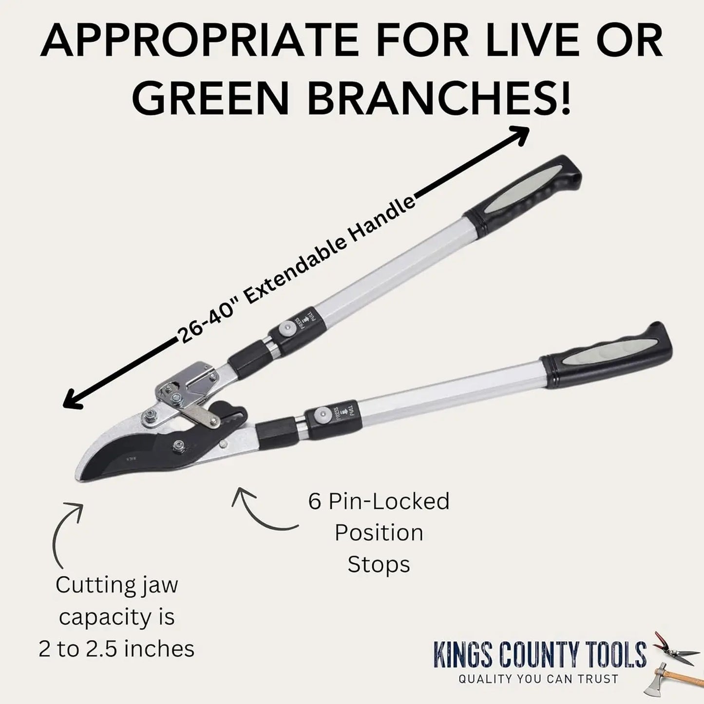 Double Ratcheting Bypass Lopper