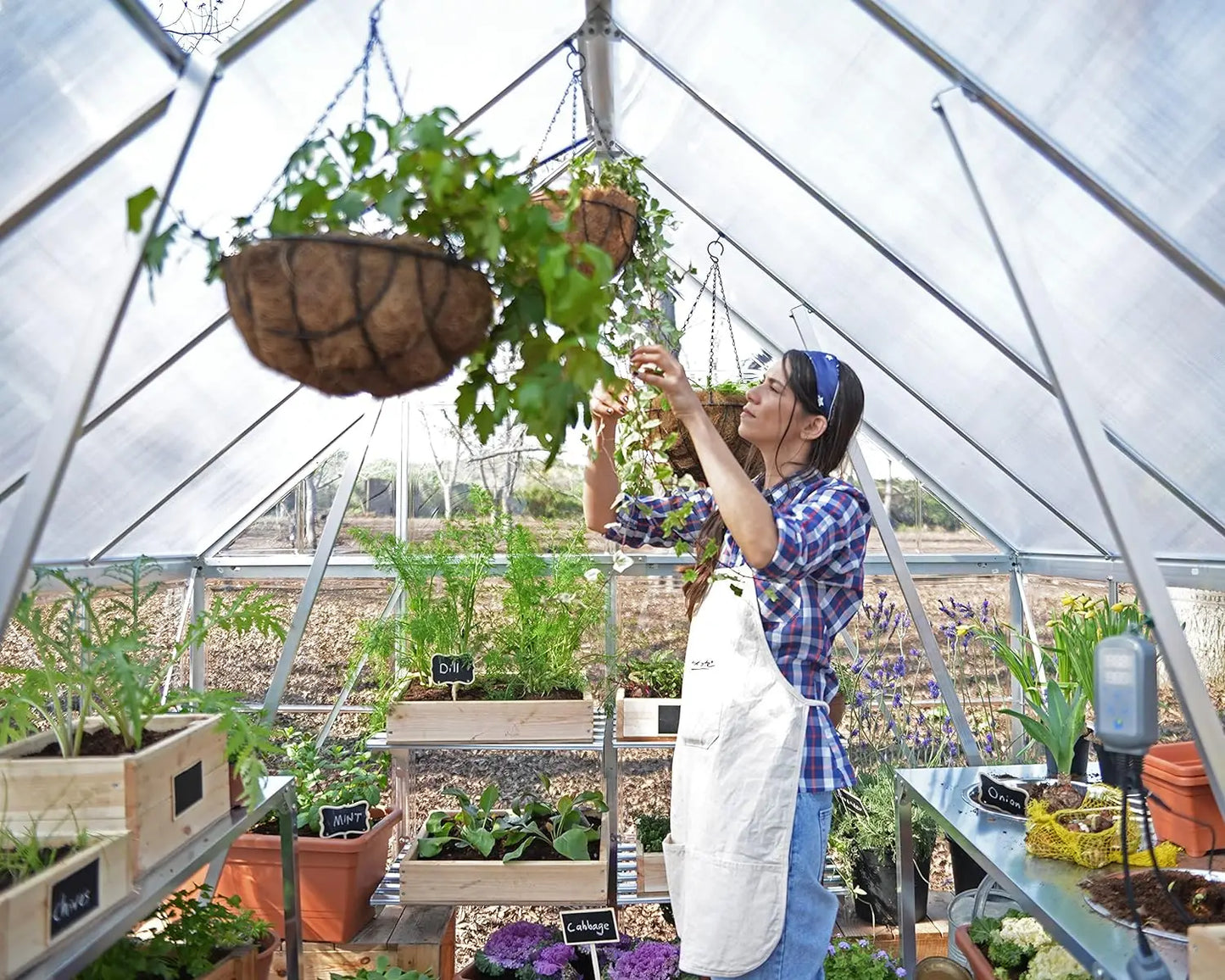 6' X 8' Greenhouse Silver with Plant Hangers