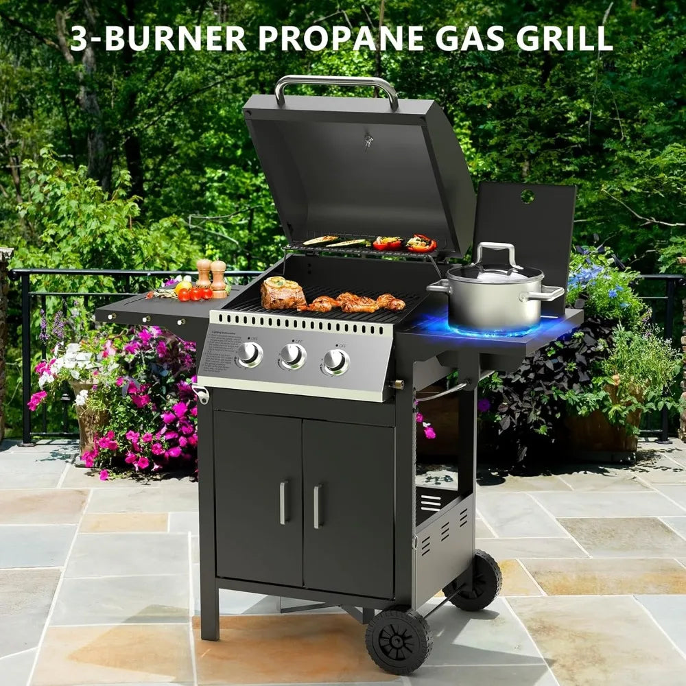 BBQ Gas Grill