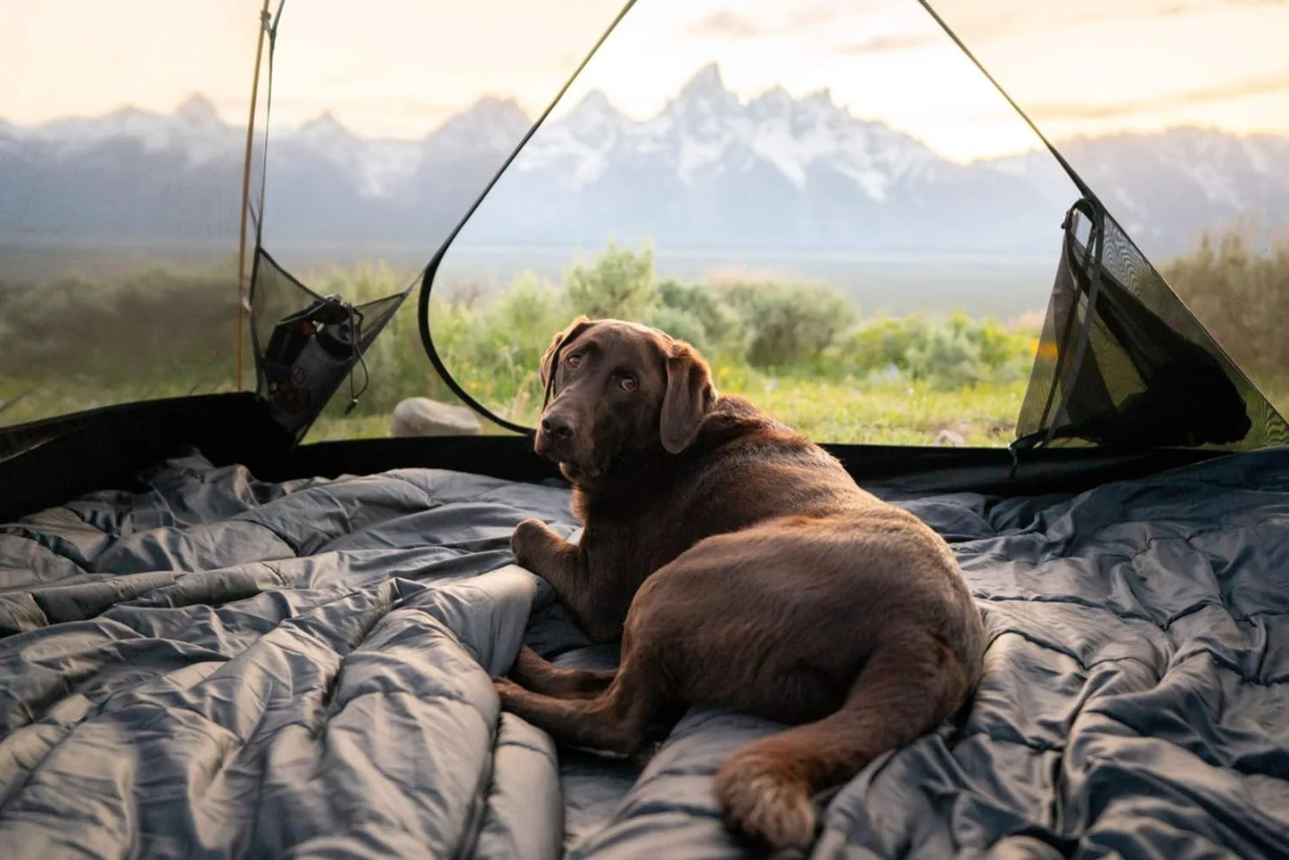 3 Person Backpacking Lightweight Tent