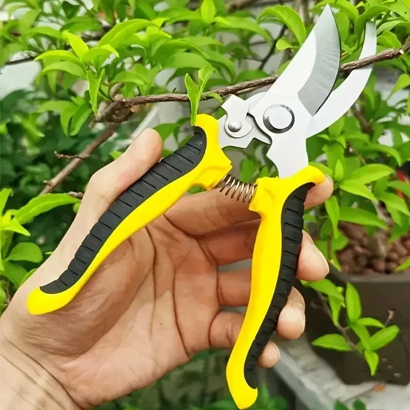 Bypass Pruning Shears, Tree Trimmers