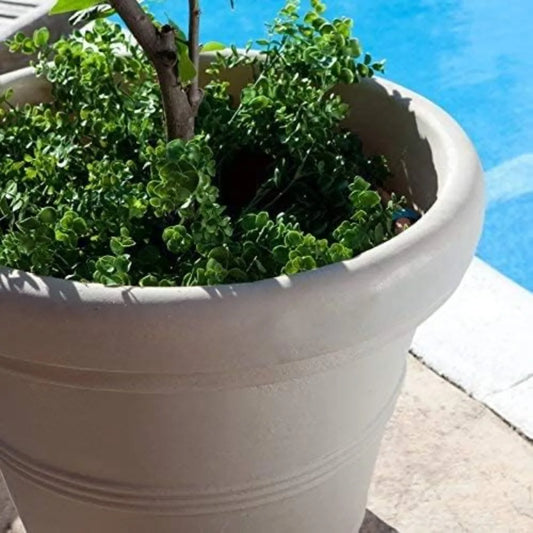 Classic Rolled-Rim Plant Pot