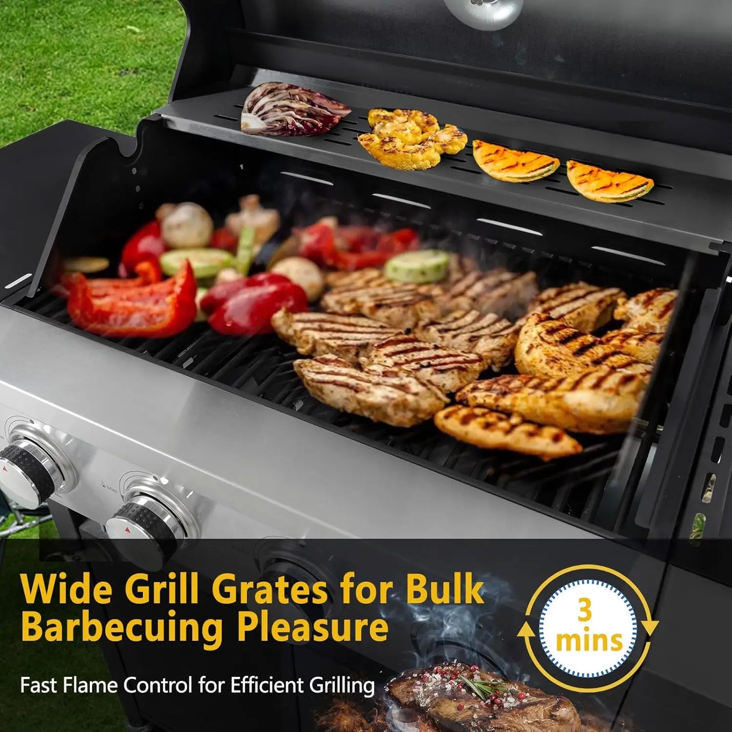 Propane Gas Grill with Side Burner